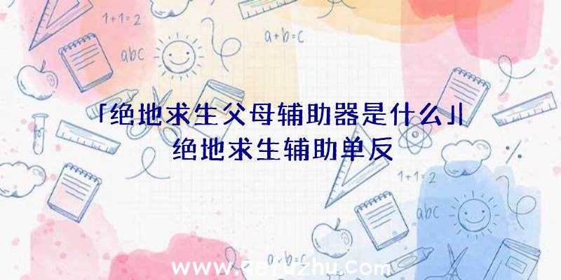 「绝地求生父母辅助器是什么」|绝地求生辅助单反